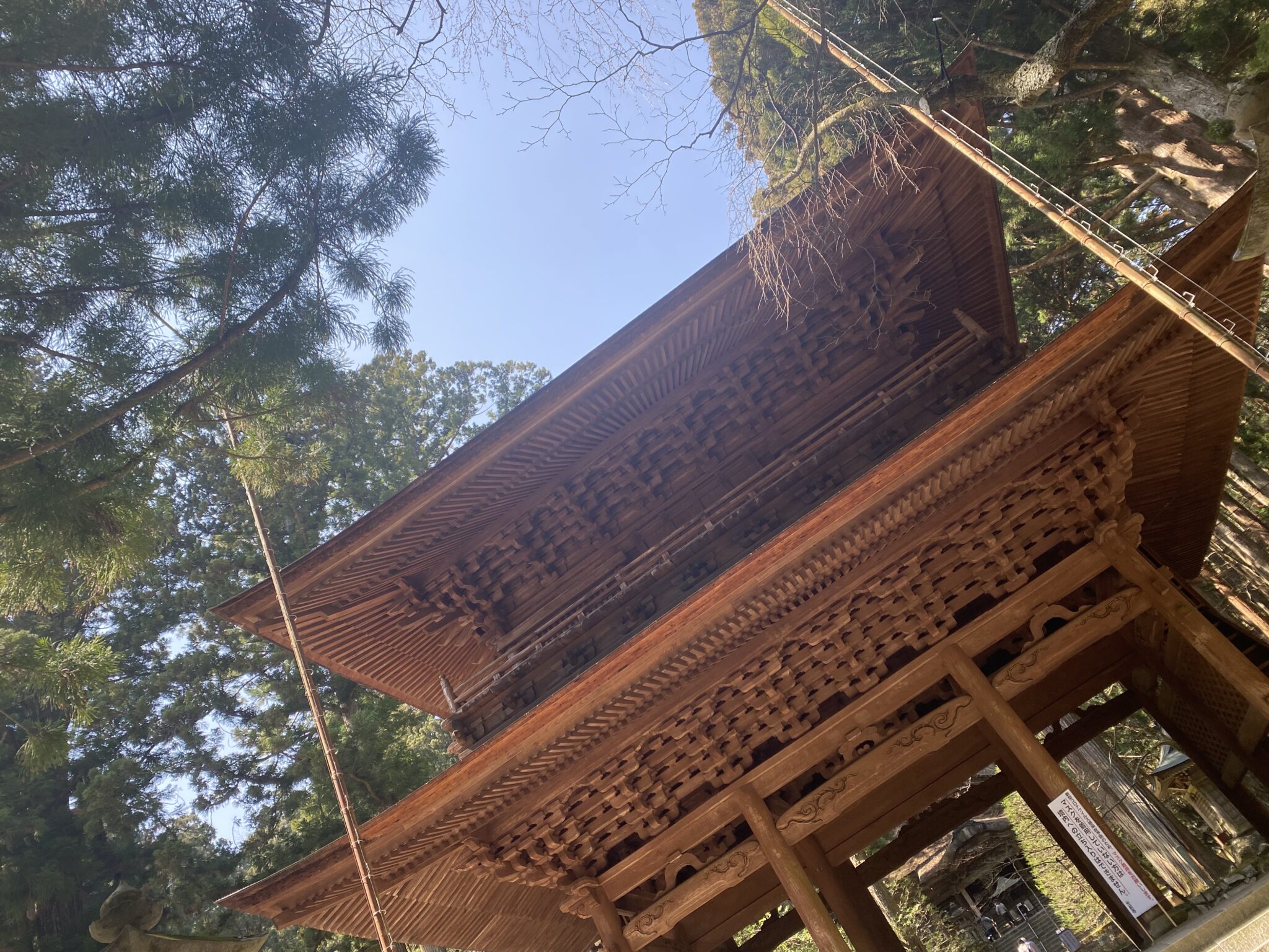 【心安らぐ春の絶景と歴史】駒ケ根 光前寺で過ごす、都会を忘れる夫婦の癒し旅 - connect nagano