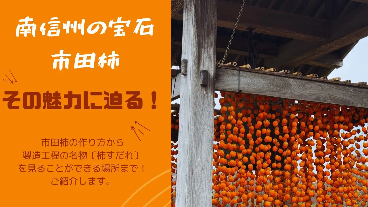 【南信州の冬の宝石】とろける甘さの伝統銘菓「市田柿」（いちだがき）の秘密と絶品レシピ